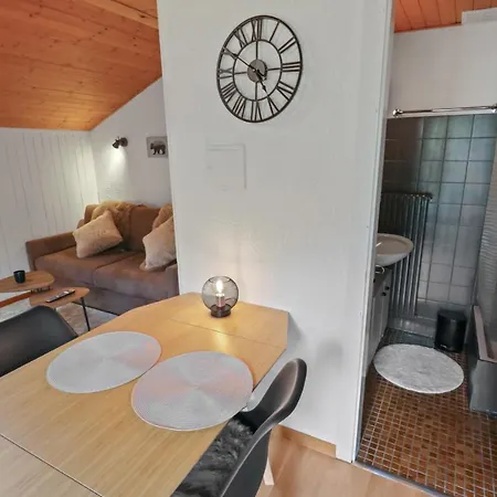 Apartment Studio Avec Parking Gratuit *